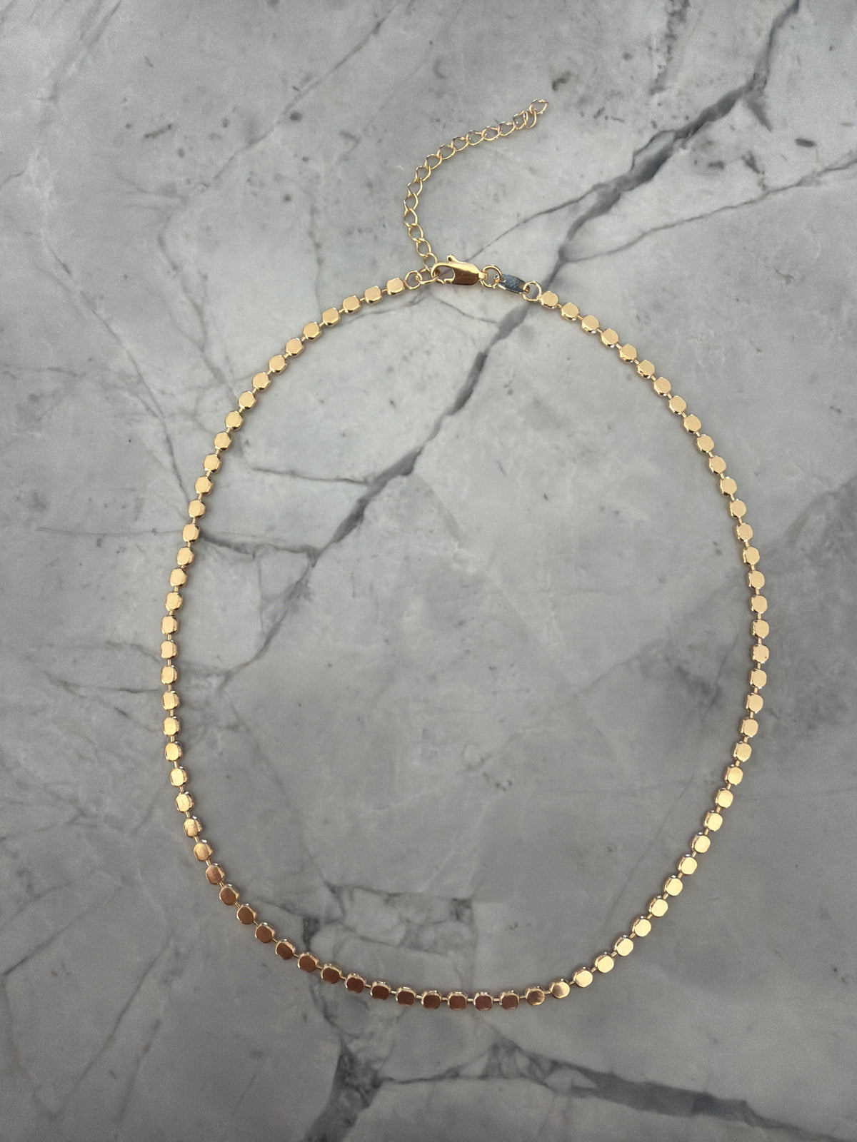 Fleur Flat Circle Chain Waterproof Necklace | 18k Gold-Filled