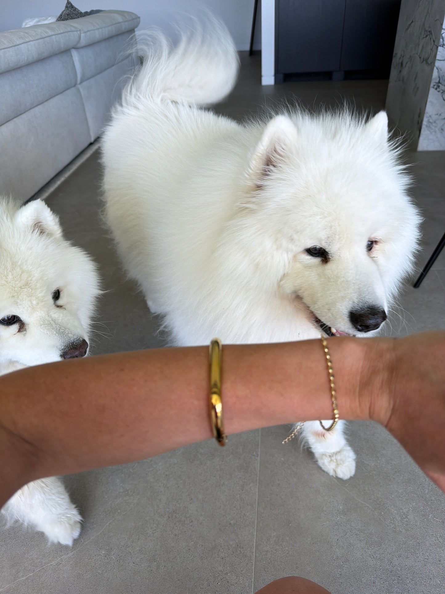 Openable Gold Classic Bangle SALE