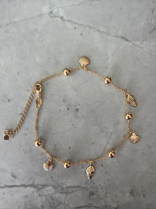 Shell Gold Anklet with extention